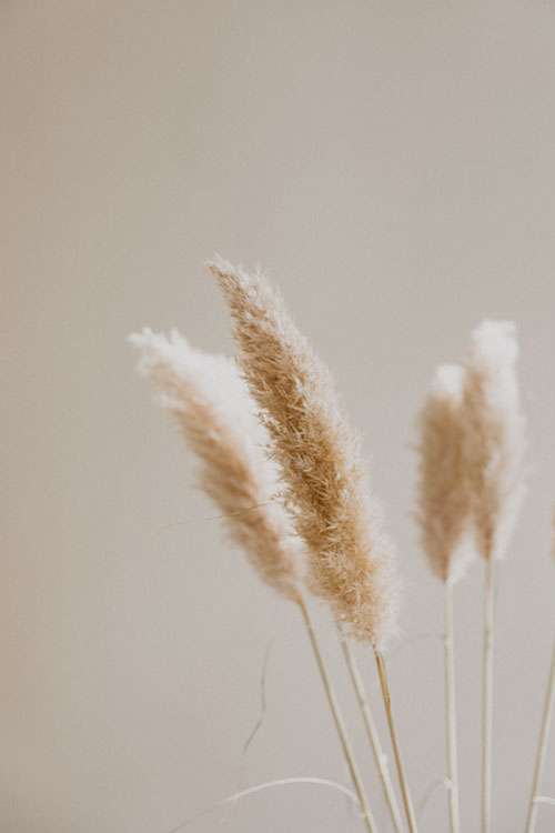 Dream-Brand-Minimalistic-Matter-aanbod-2